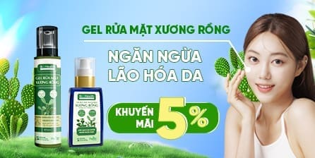 gel rửa mặt xương rồng