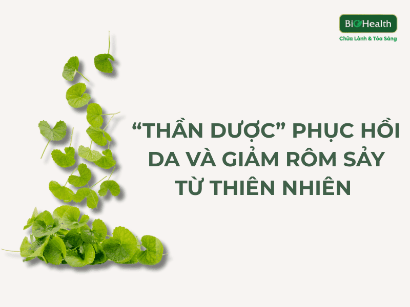 Rau má: “Thần dược” phục hồi da và giảm rôm sảy từ thiên nhiên được khoa học công nhận 6
